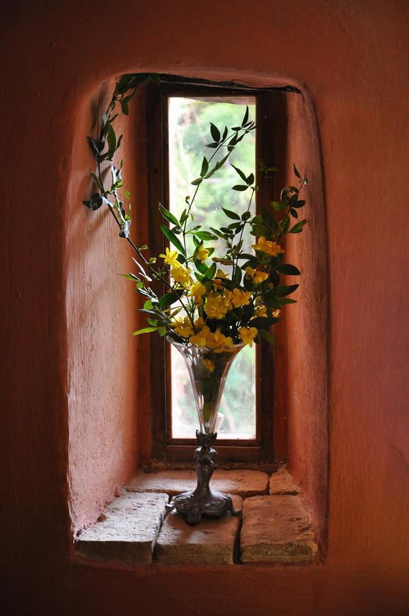 Villa Domenicale Ágios Márkos Exteriör bild