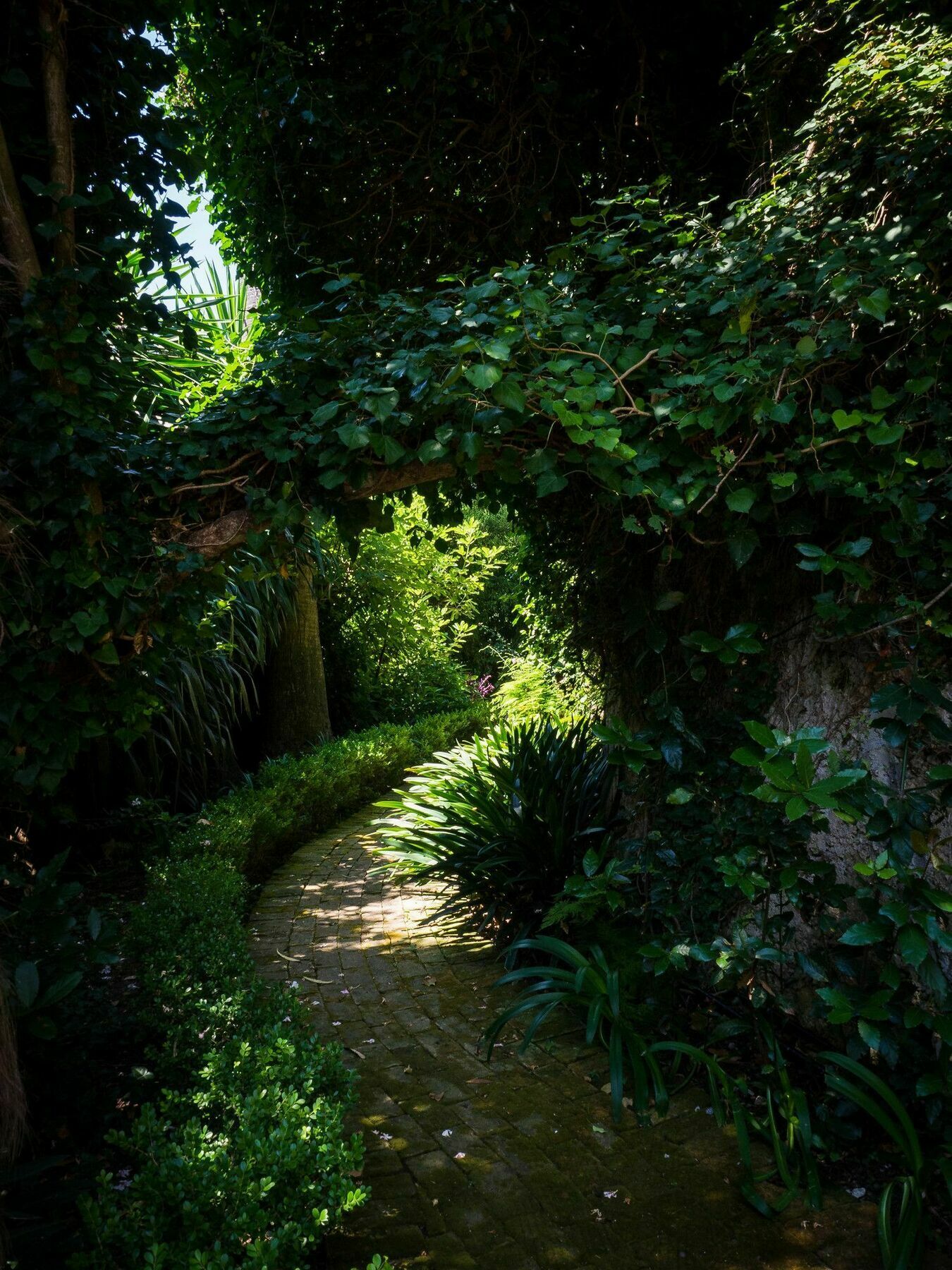 Villa Domenicale Ágios Márkos Exteriör bild