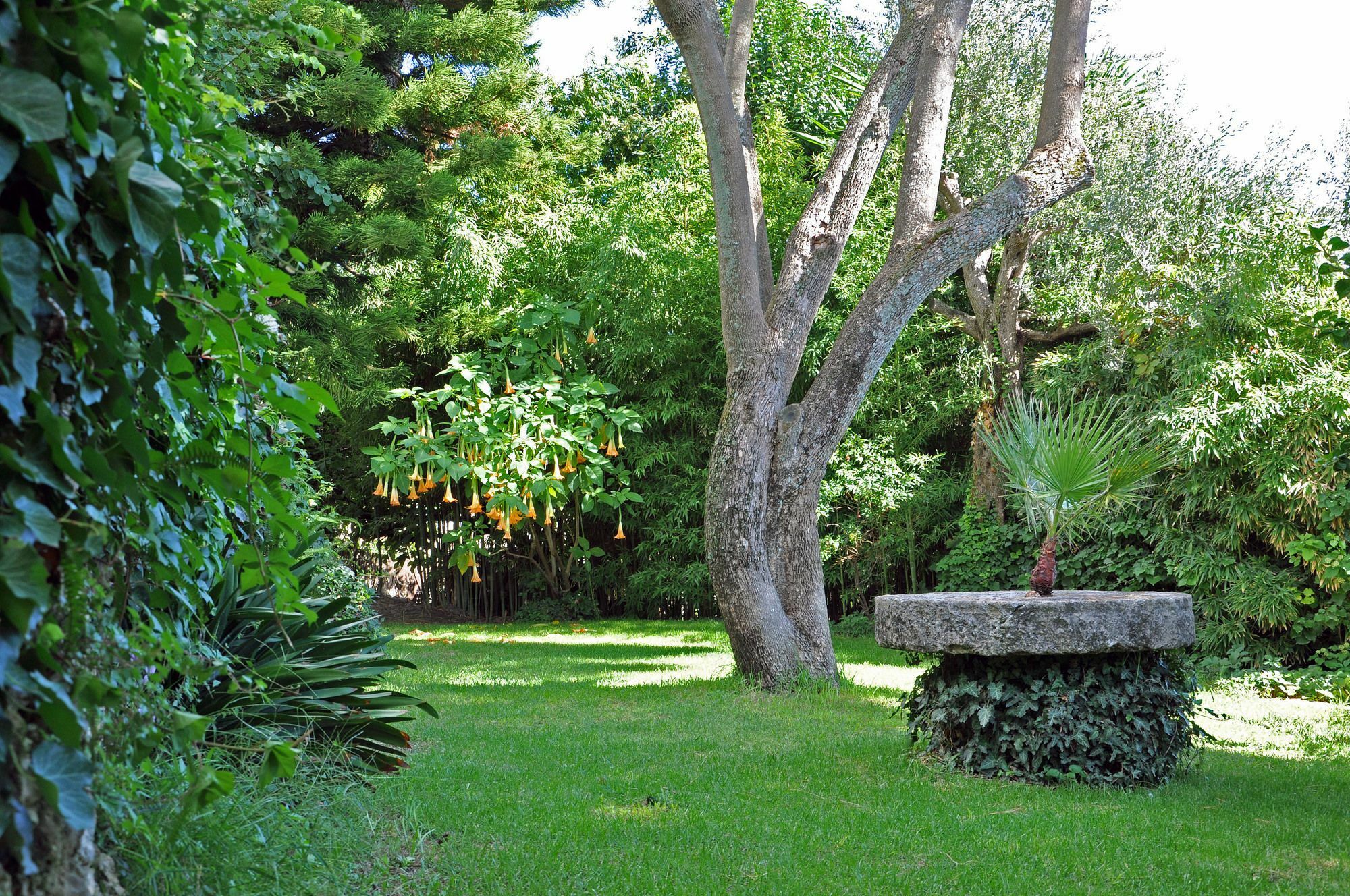 Villa Domenicale Ágios Márkos Exteriör bild